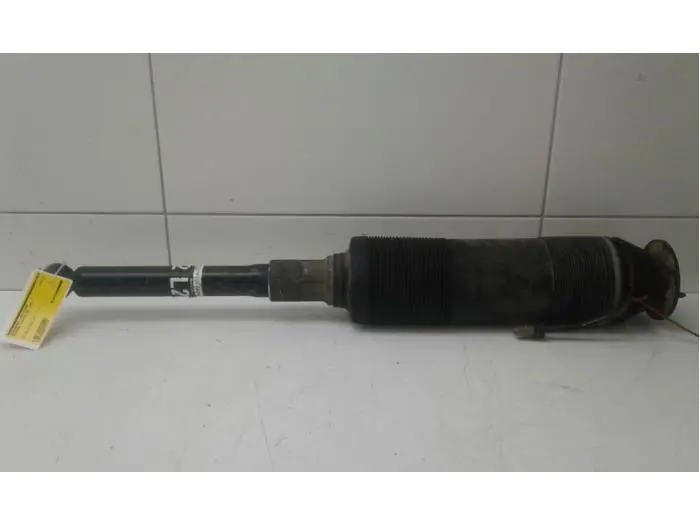 Rear shock absorber, left Mercedes S-Klasse