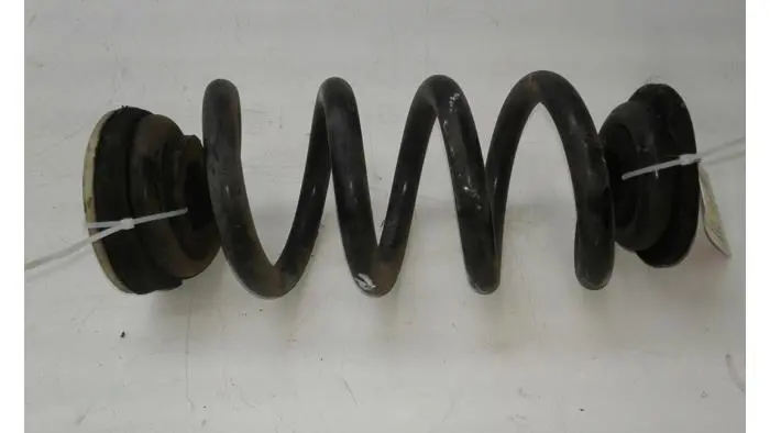 Rear coil spring Opel Insignia