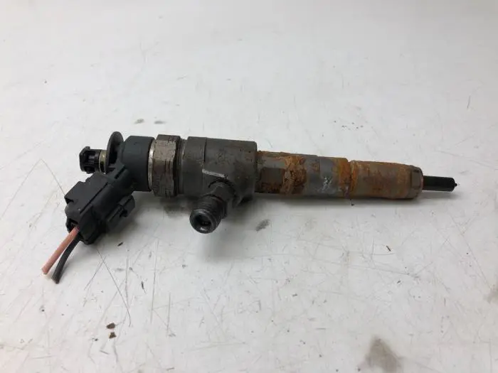 Injector (diesel) Citroen C3