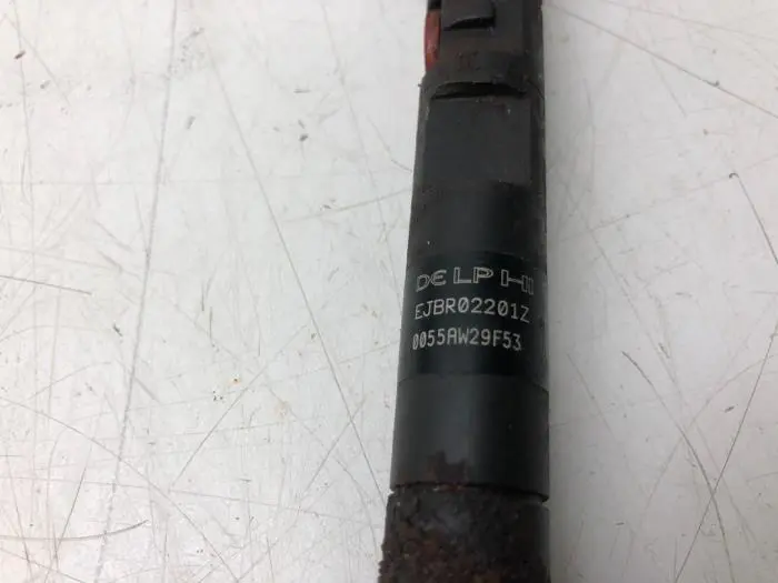 Injector (diesel) Ford Transit Connect