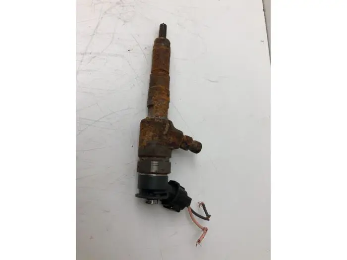 Injector (diesel) Citroen C3