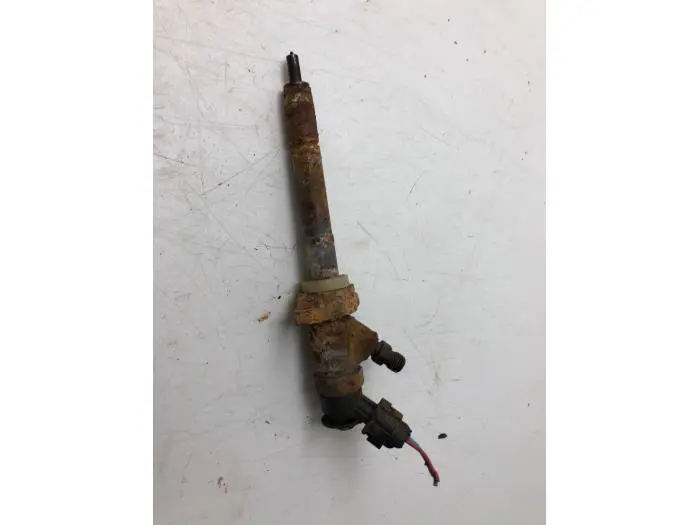 Injector (diesel) Citroen C4 Picasso