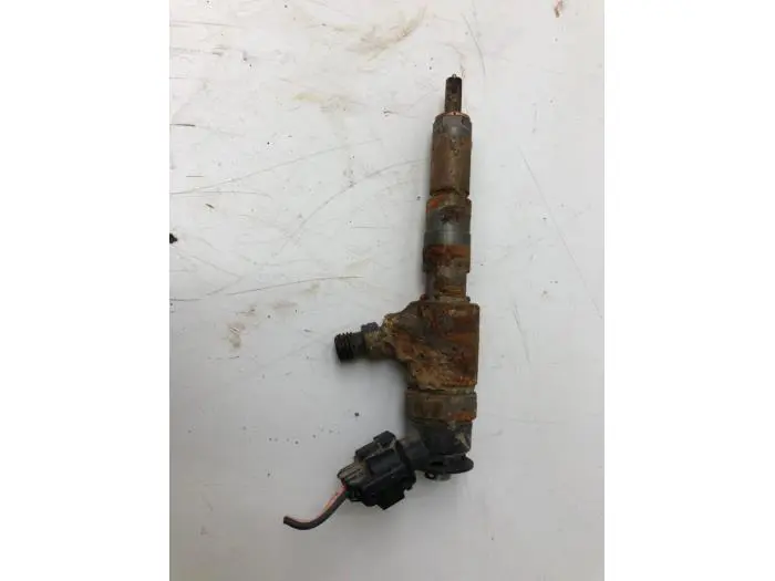 Injector (diesel) Citroen C3