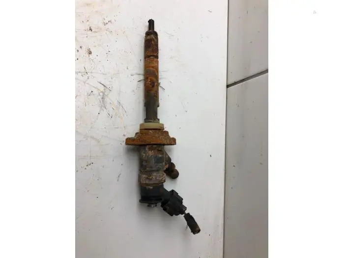 Injector (diesel) Citroen C3