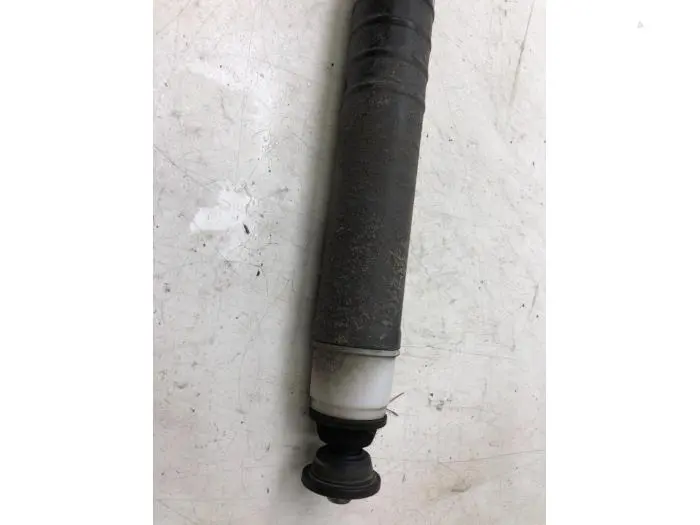 Rear shock absorber, left Renault ZOE