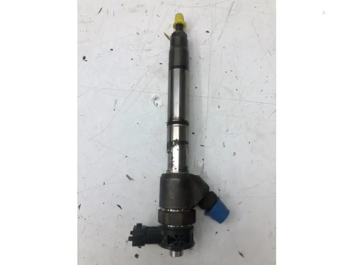 Injector (diesel) Kia Carens