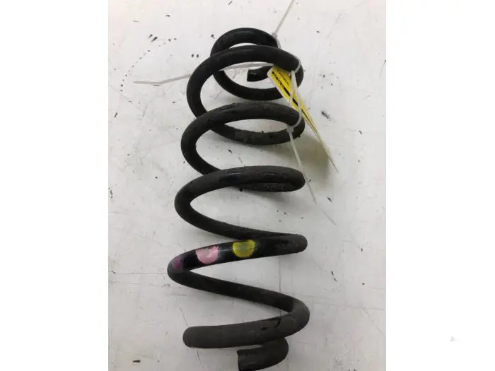 Rear coil spring Renault Twingo