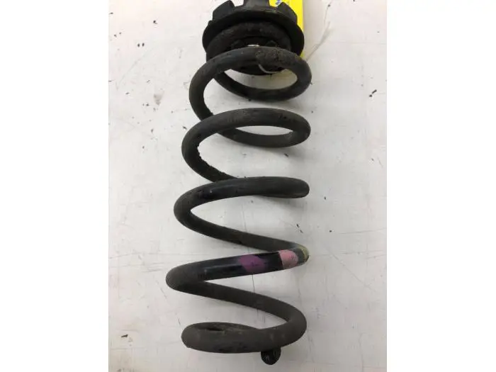 Rear coil spring Renault Twingo