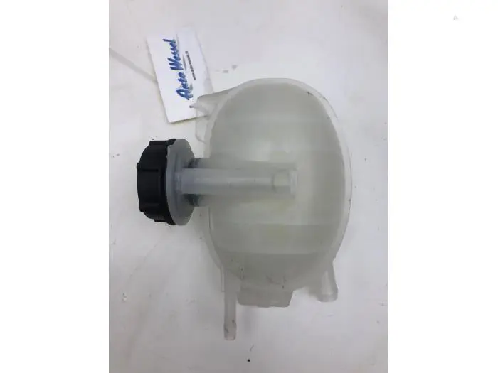 Expansion vessel Ford Usa Mustang