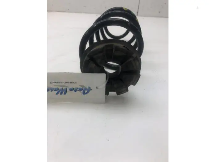 Rear coil spring Dacia Sandero