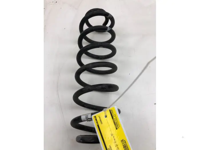 Rear coil spring Volkswagen Passat