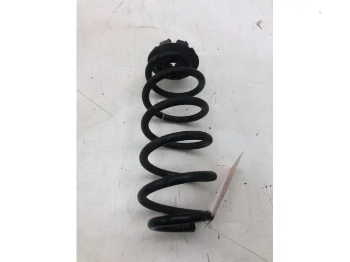 Rear coil spring Smart Forfour