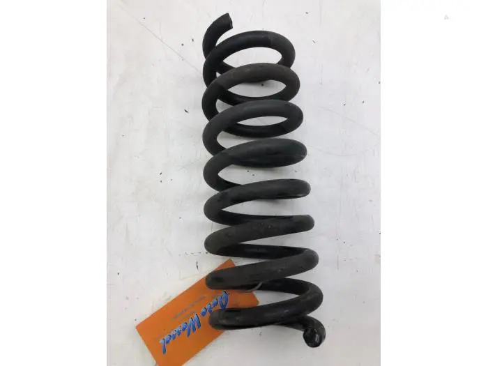 Rear coil spring Mercedes C-Klasse