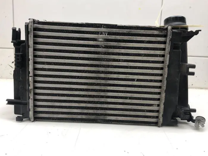 Intercooler Renault Talisman