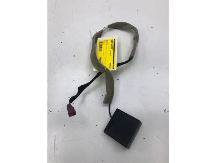 Antenna (miscellaneous) Renault Talisman