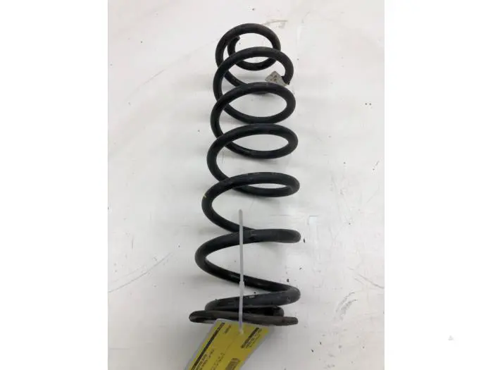 Rear coil spring Skoda Octavia