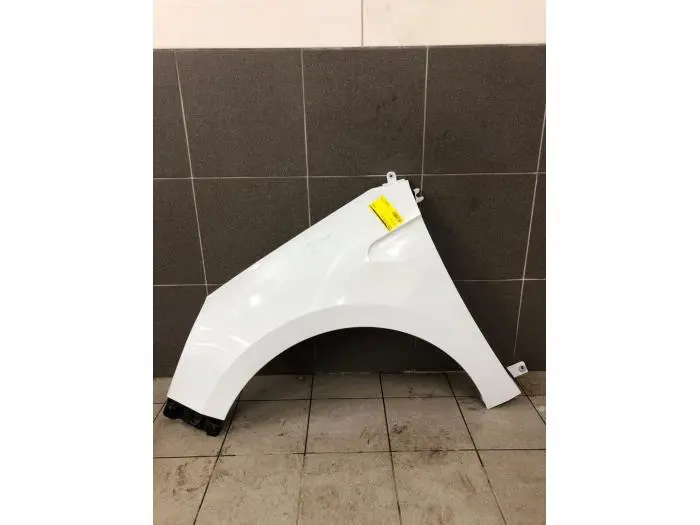 Front wing, left Renault Clio