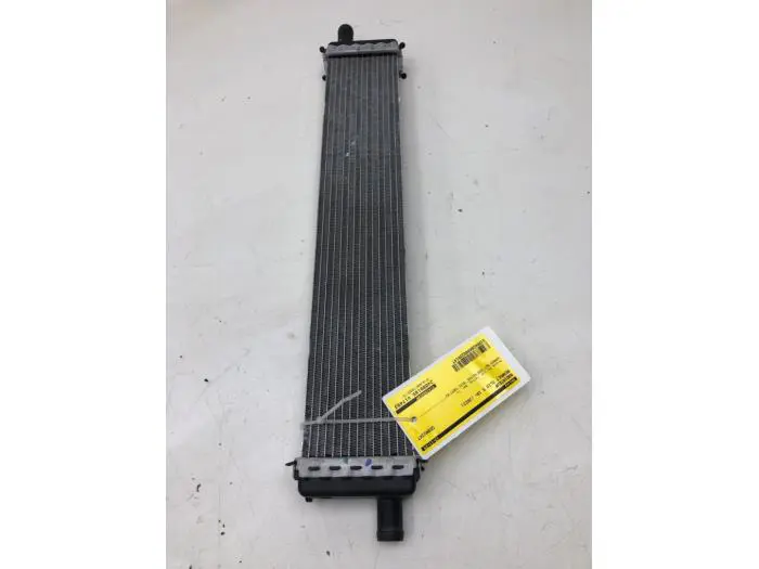 Radiator Renault Clio