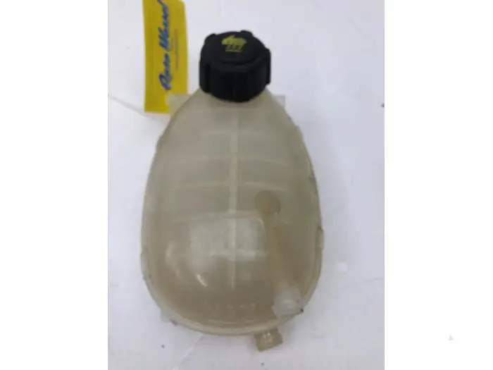 Expansion vessel Renault Clio