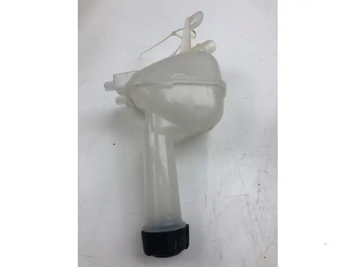 Expansion vessel Renault Clio