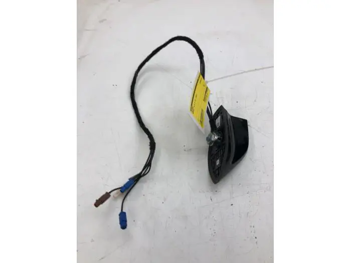 Antenna Renault Clio