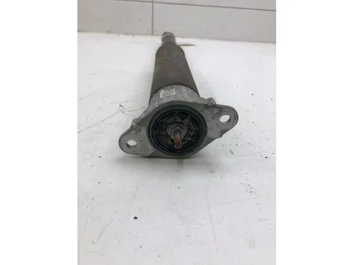 Rear shock absorber, left Ford Puma